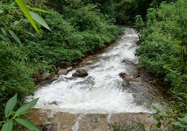 寧波雄鷹智能科技有限公司，慈溪振動(dòng)盤(pán)，寧波振動(dòng)盤(pán)，非標(biāo)振動(dòng)盤(pán)，自動(dòng)化設(shè)備