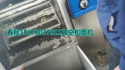 300面包真空和面機(jī)|三角杠式面包糠真空和面機(jī)打